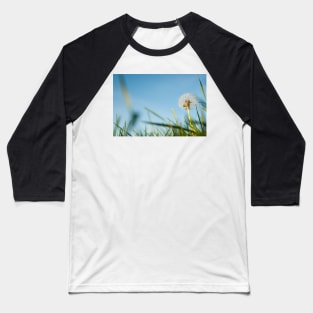 Dandelion in field. Baseball T-Shirt